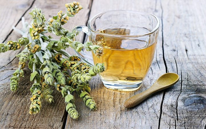 Mountain tea, Shepherd's Tea, wild organic bunch sideritis scardica ironwort handpicked from the Greek mountains 20g