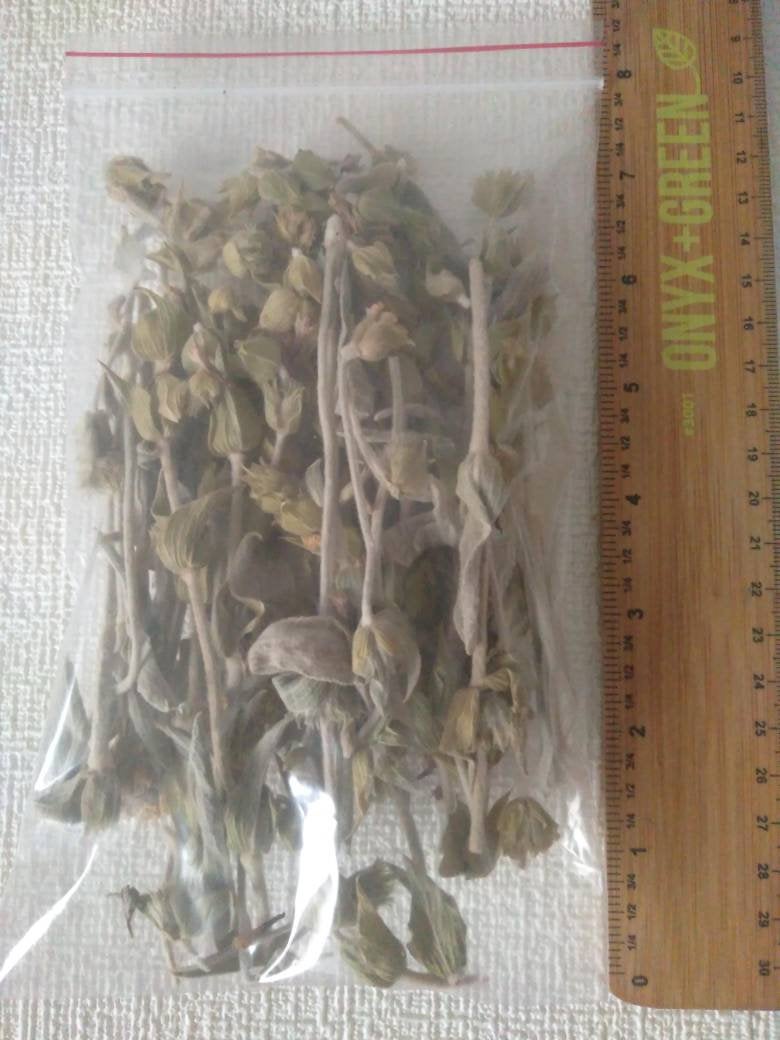 Mountain tea, Shepherd's Tea, wild organic bunch sideritis scardica ironwort handpicked from the Greek mountains 20g