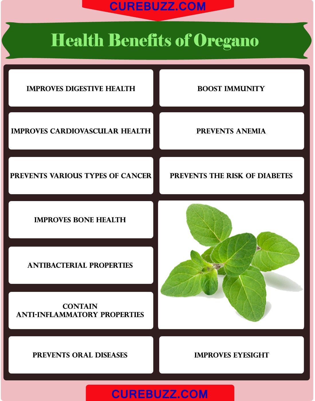 Oregano dried, wild and organic, best quality 60gm