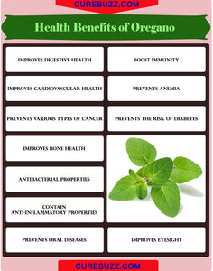 Oregano dried, wild and organic, best quality 60gm