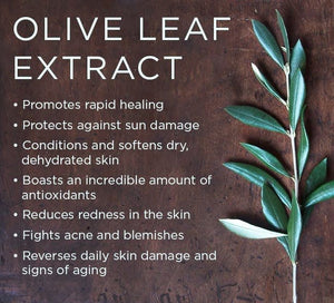 Olive whole leaves, organic, great quality, 50gm ships from Montreal