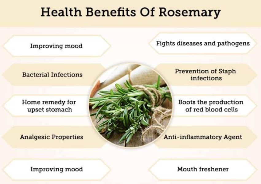 Rosemary whole dried leaves, organic, great quality, 50gm ships from Montreal