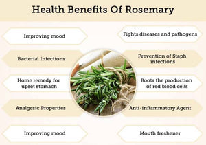 Rosemary whole dried leaves, organic, great quality, 50gm ships from Montreal