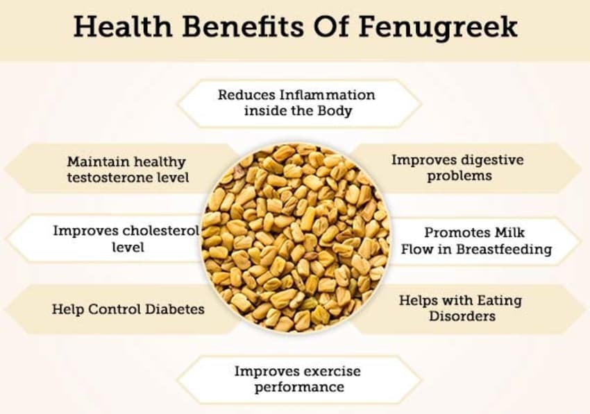 100g fenugreek powder , Organic, natural, Methi seeds powder, TitBit indian brand, ships from Montreal